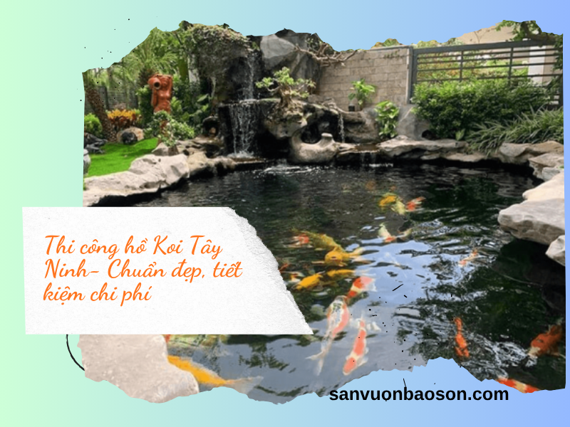 Thi công hồ cá koi Tây Ninh : Đẳng cấp, bền bỉ, tiết kiệm chi phí